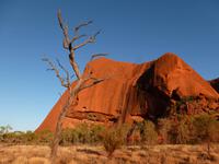 Grosse Australien Rundreise 2013 - Outback Northern Territory Uluru