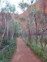 Grosse Australien Rundreise 2013 - Outback Northern Territory Uluru