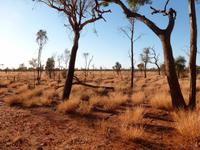 Grosse Australien Rundreise 2013 - Outback Northern Territory Uluru