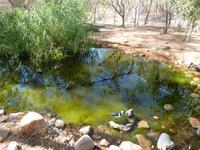 Grosse Australien Rundreise 2013 - Outback Northern Territory Dessert Park