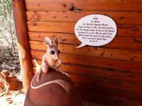 Grosse Australien Rundreise 2013 - Outback Northern Territory Dessert Park