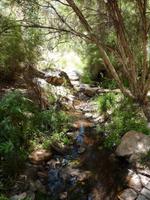 Grosse Australien Rundreise 2013 - Outback Northern Territory Dessert Park