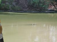 Grosse Australien Rundreise 2013 - Kakadu Nationalpark Northern Territory