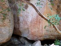 Grosse Australien Rundreise 2013 - Arnhemland Northern Territory