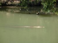 Grosse Australien Rundreise 2013 - Arnhemland Northern Territory