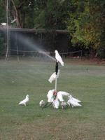 Grosse Australien Rundreise 2013 - Kakadu Nationalpark Northern Territory 