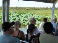 Grosse Australien Rundreise 2013 - Kakadu Nationalpark Northern Territory Yellow Waters
