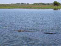 Grosse Australien Rundreise 2013 - Kakadu Nationalpark Northern Territory Yellow Waters