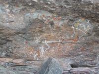 Grosse Australien Rundreise 2013 - Kakadu Nationalpark Northern Territory 