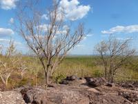 Grosse Australien Rundreise 2013 - Kakadu Nationalpark Northern Territory 