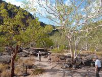 Grosse Australien Rundreise 2013 - Kakadu Nationalpark Northern Territory 