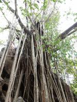 Grosse Australien Rundreise 2013 - Kakadu Nationalpark Northern Territory 