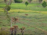 Grosse Australien Rundreise 2013 - Kakadu Nationalpark Northern Territory 
