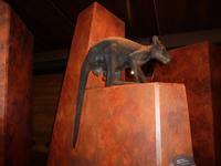 Grosse Australien Rundreise 2013 - Kakadu Nationalpark Northern Territory 