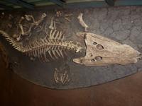 Grosse Australien Rundreise 2013 - Kakadu Nationalpark Northern Territory 