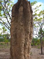 Grosse Australien Rundreise 2013 - Kakadu Nationalpark Northern Territory 