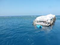 Grosse Australien Rundreise 2013 - Cairns Great Barrier Reef Queensland