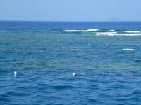 Grosse Australien Rundreise 2013 - Cairns Great Barrier Reef Queensland