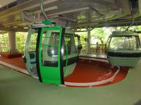 Grosse Australien Rundreise 2013 - Cairns Regenwald Queensland - Kuranda