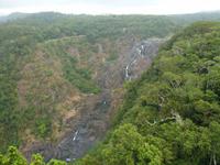Grosse Australien Rundreise 2013 - Cairns Regenwald Queensland - Kuranda