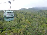 Grosse Australien Rundreise 2013 - Cairns Regenwald Queensland - Kuranda