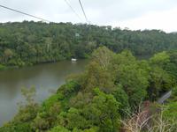 Grosse Australien Rundreise 2013 - Cairns Regenwald Queensland - Kuranda