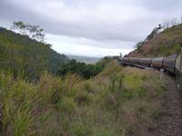 Grosse Australien Rundreise 2013 - Cairns Regenwald Queensland - Kuranda