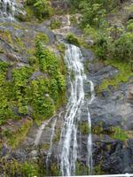 Grosse Australien Rundreise 2013 - Cairns Regenwald Queensland - Kuranda