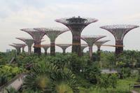 Gardens by the Bay