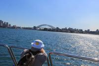 Bootsfahrt Sydney