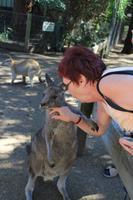 kuscheln im Featherdale Wildlife Park