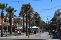 Manly Beach