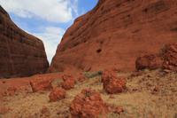 Spaziergang an den Olgas - Kata Tjuta 