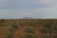 der Uluru aus der Ferne