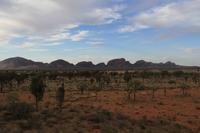 die Olgas - Kata Tjuta 
