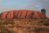 am Uluru