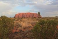 am Uluru