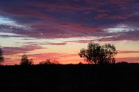 Sonnenaufgang am Uluru