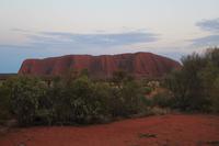 Sonnenaufgang am Uluru
