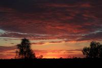 Sonnenaufgang am Uluru