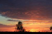 Sonnenaufgang am Uluru