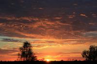 Sonnenaufgang am Uluru