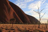 Morgenspaziergang am Uluru