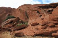 Morgenspaziergang am Uluru