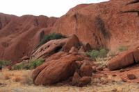 Morgenspaziergang am Uluru
