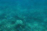 Halb-U-Boot Great Barrier Reef