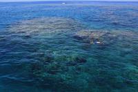Schnorcheln am Great Barrier Reef
