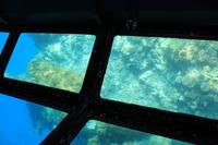 Glasbodenbootsfahrt Great Barrier Reef