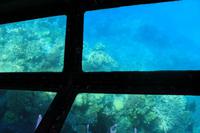 Glasbodenbootsfahrt Great Barrier Reef