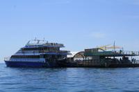 am Great Barrier Reef